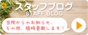 スタッフブログ